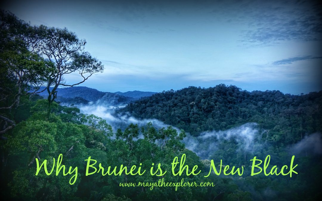 Why Brunei is the New Black